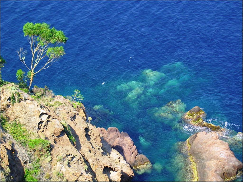 Vacanceole - Les Calanques Du Parc Fréjus Buitenkant foto